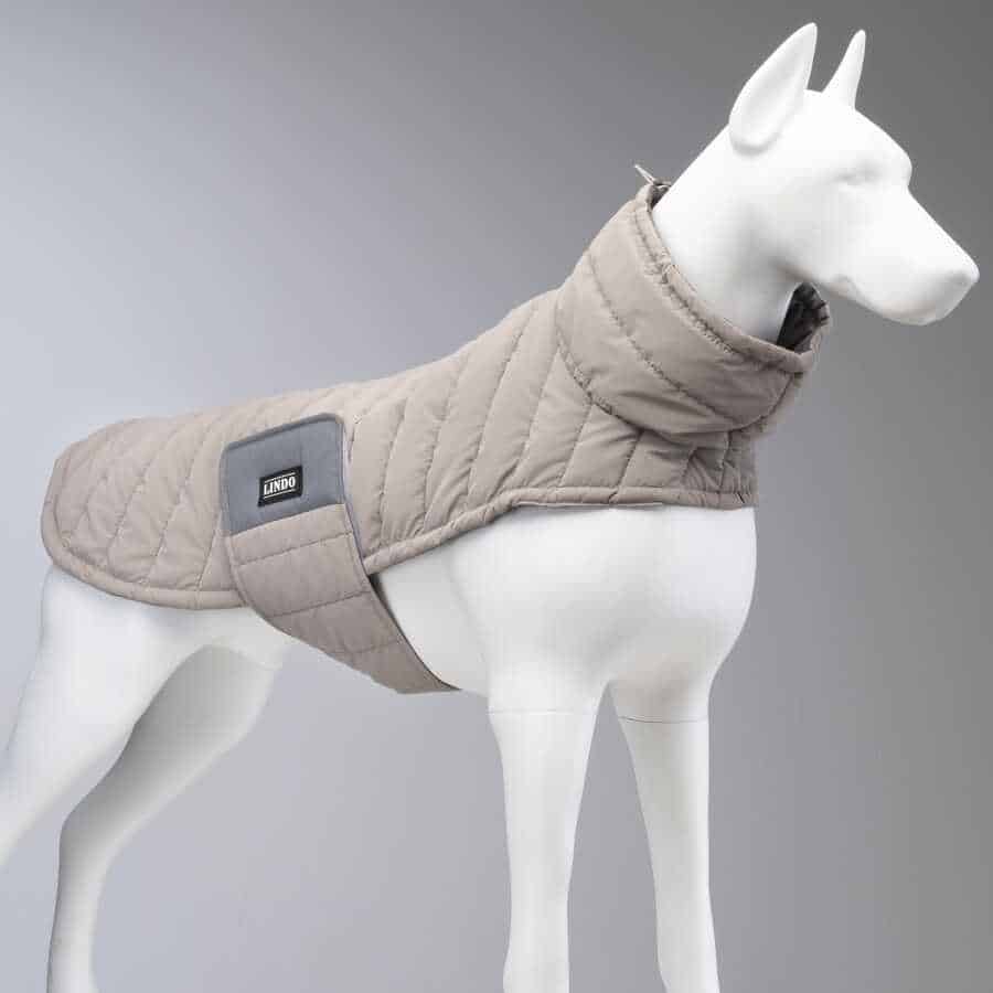 AIR PUFF DOG STONE COAT