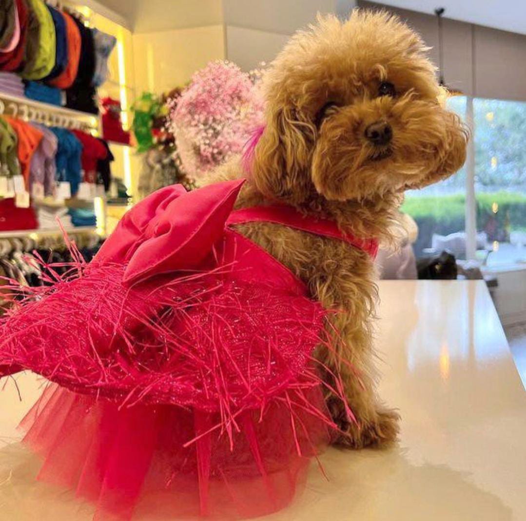PINK PARTY DOG DRESS