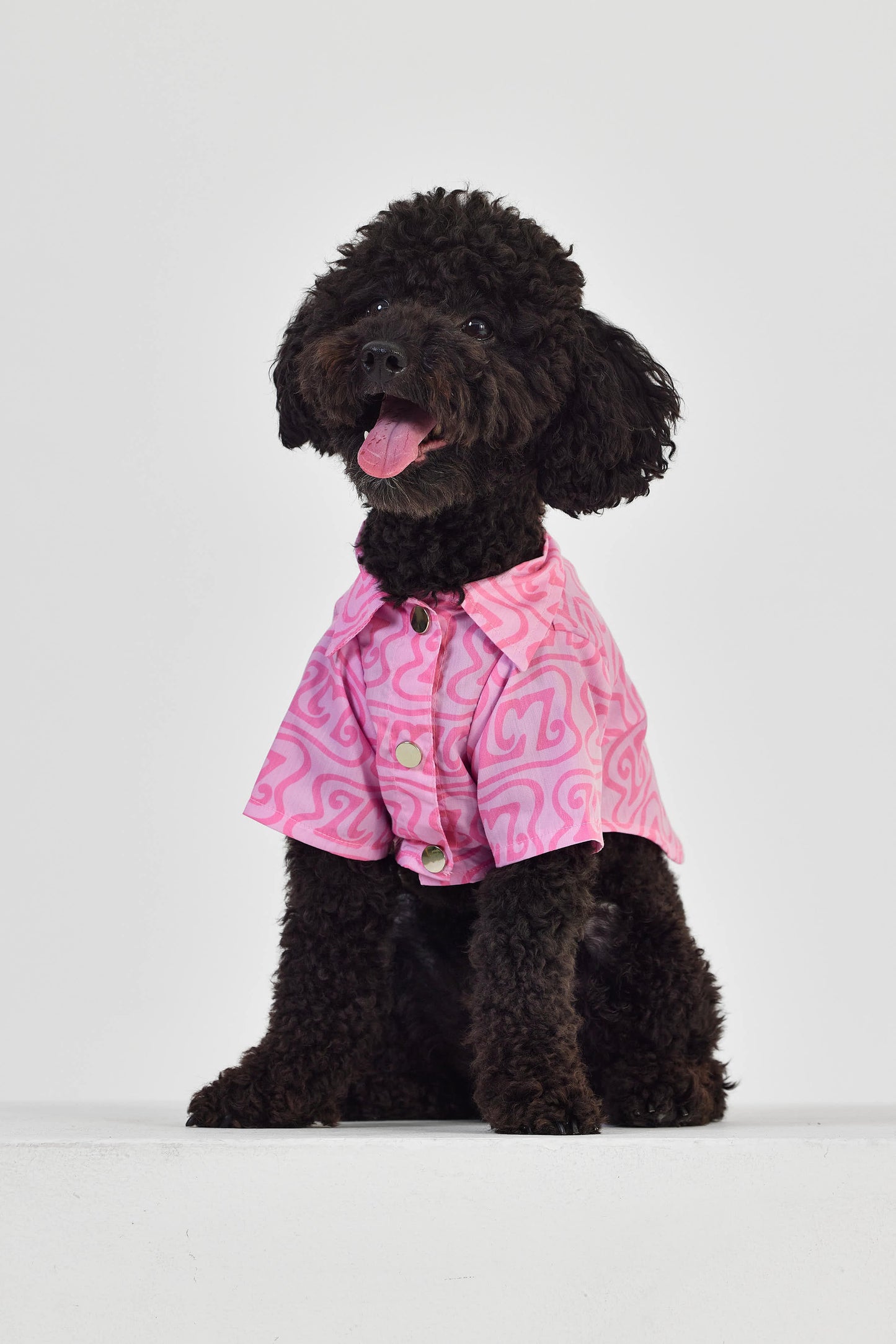 Pink LM Köpek Gömlek