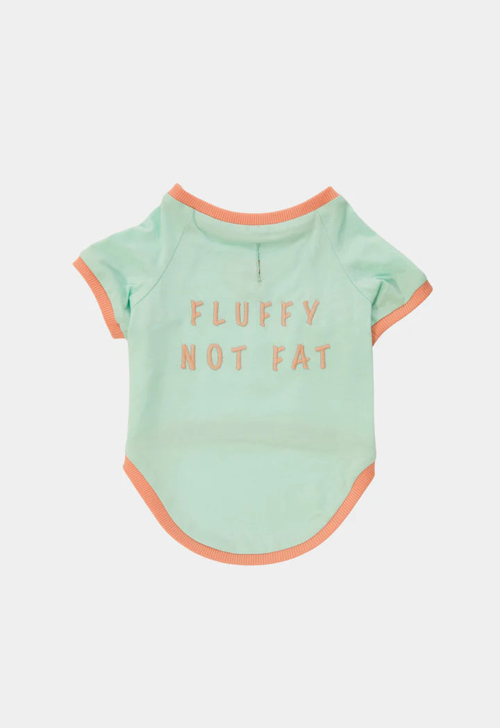 Amalfi Dog T-Shirt - Aqua Green