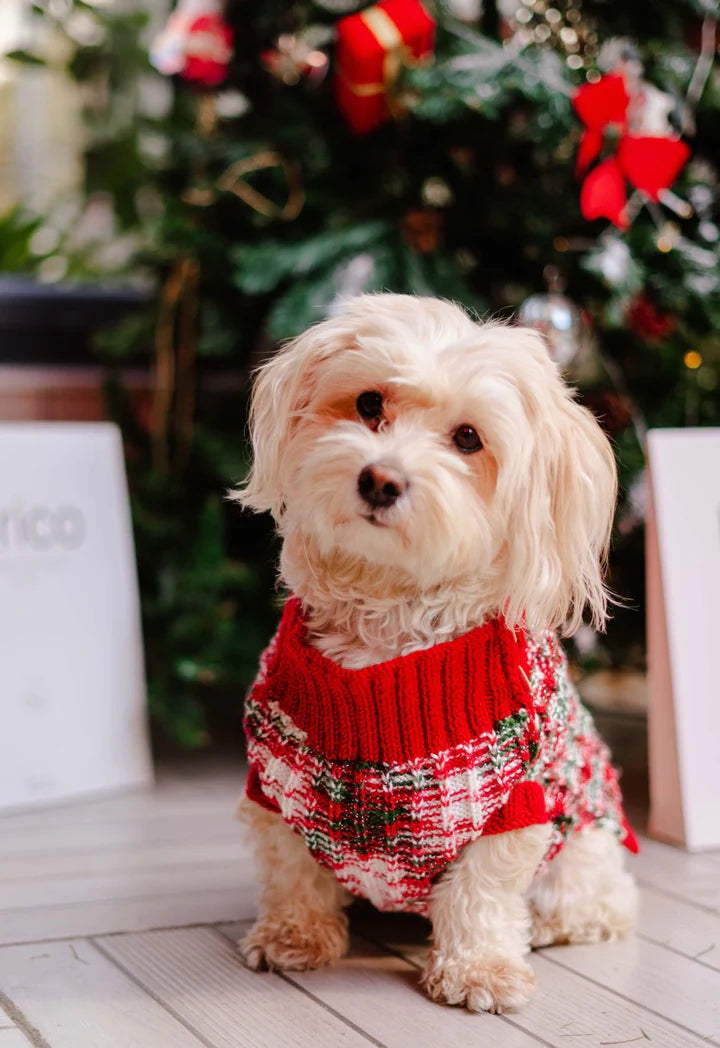 Santa Dog Sweater