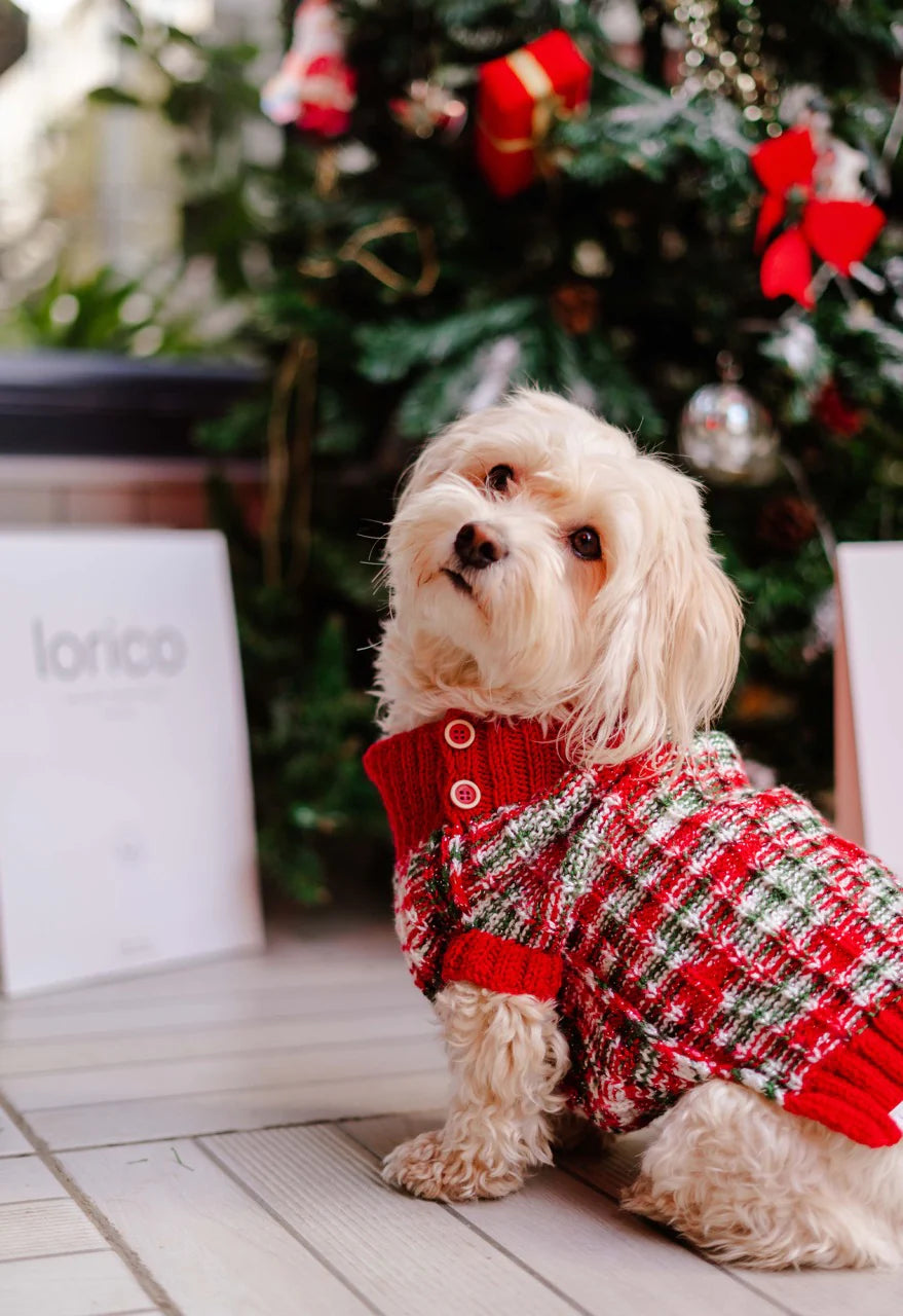 Santa Dog Sweater