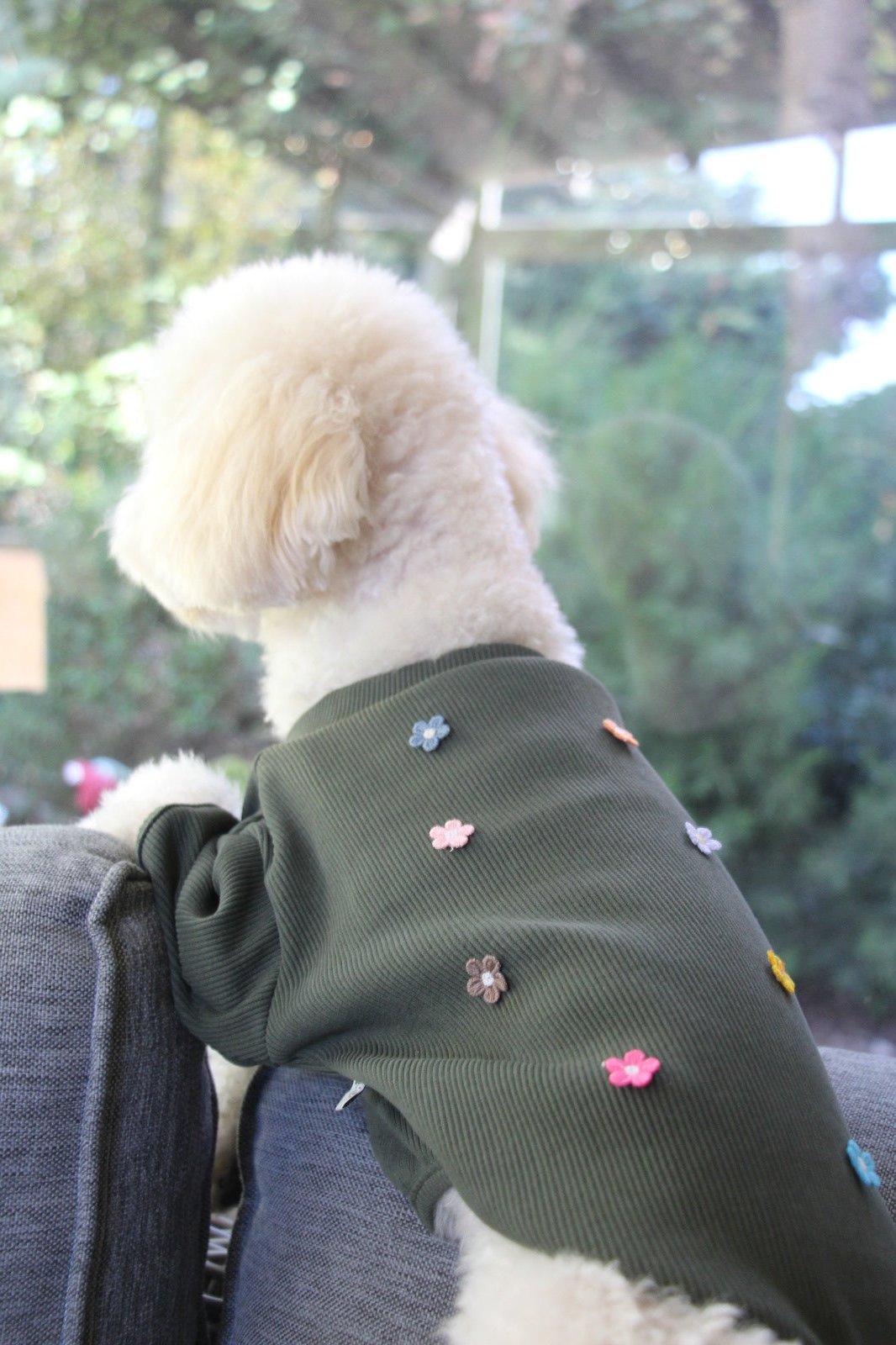 FUREND KHAKI FLORAL DOG T-SHIRT