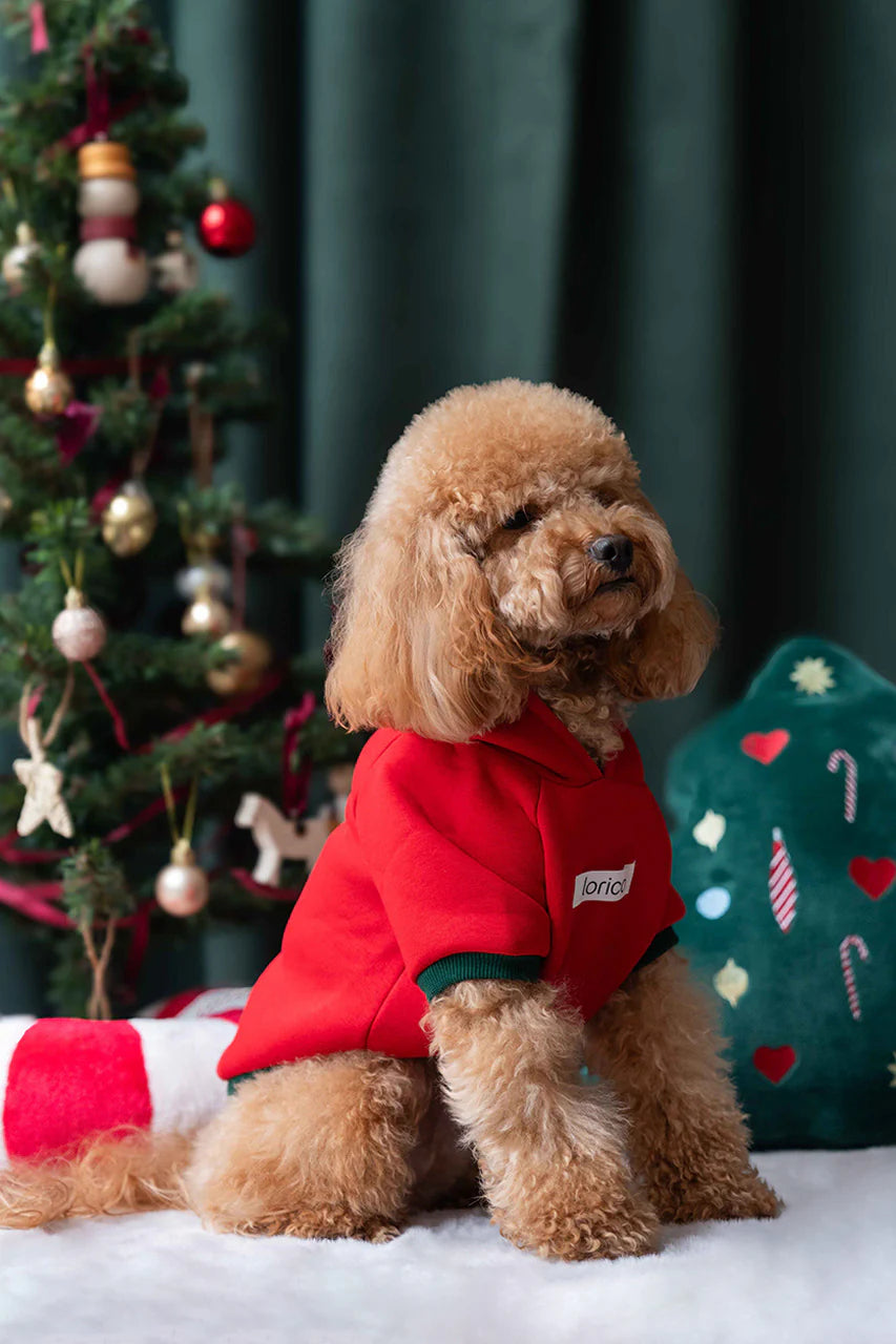 LORICO KLAUS DOG SWEATSHIRT
