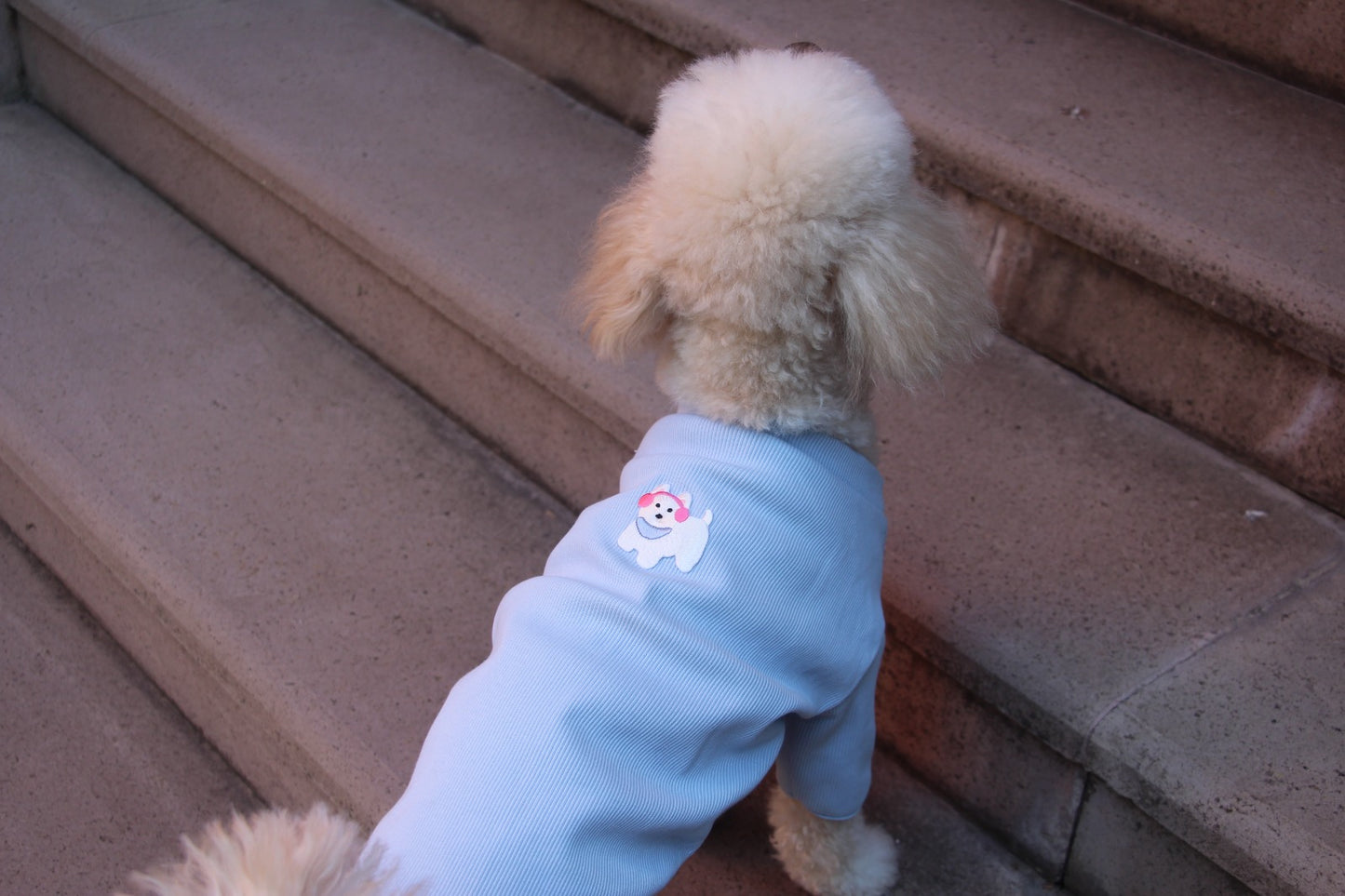FUREND BLUE DOG T-SHIRT