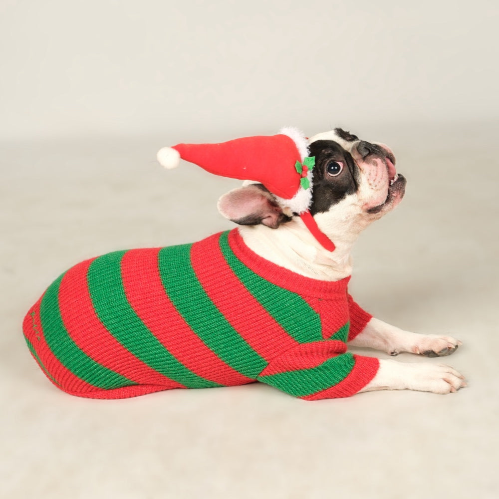 Dalton Green Red Striped Dog Sweater