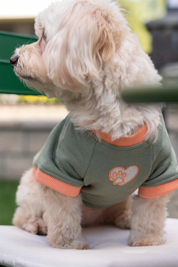 Trieste Dog Sweatshirt - Khaki