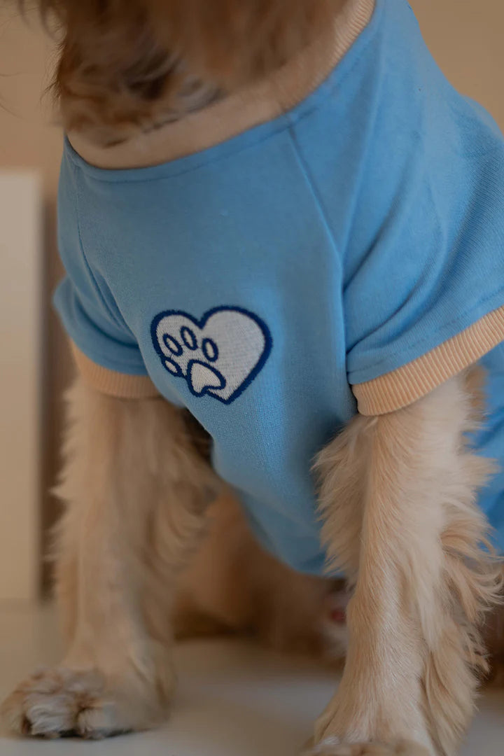Trieste Dog Sweatshirt - Blue