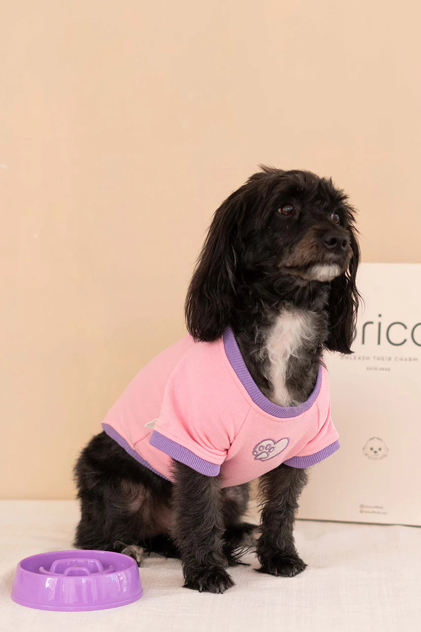 Trieste Dog Sweatshirt - Pink