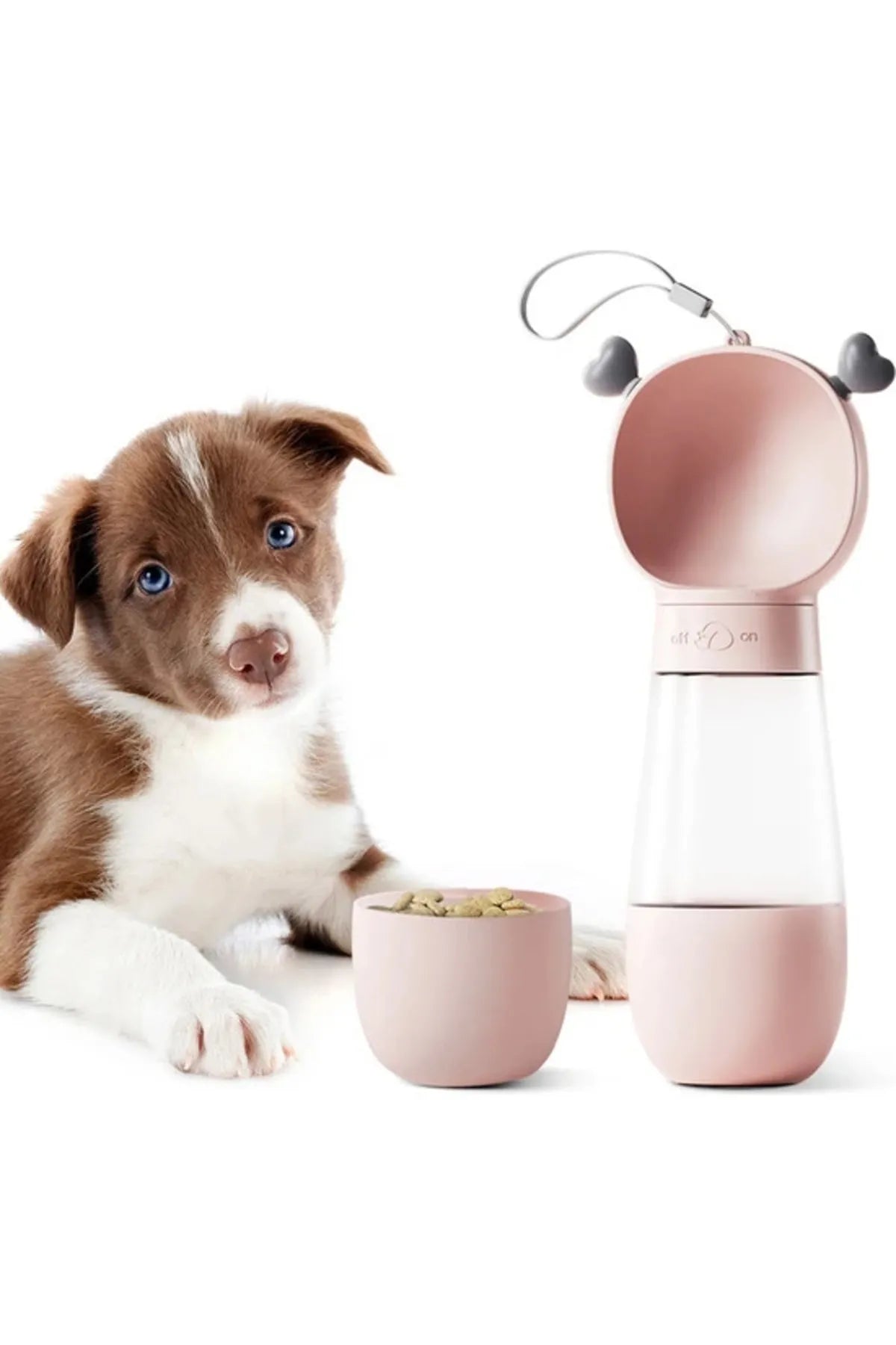 Portable Dog Food and Water Bowl