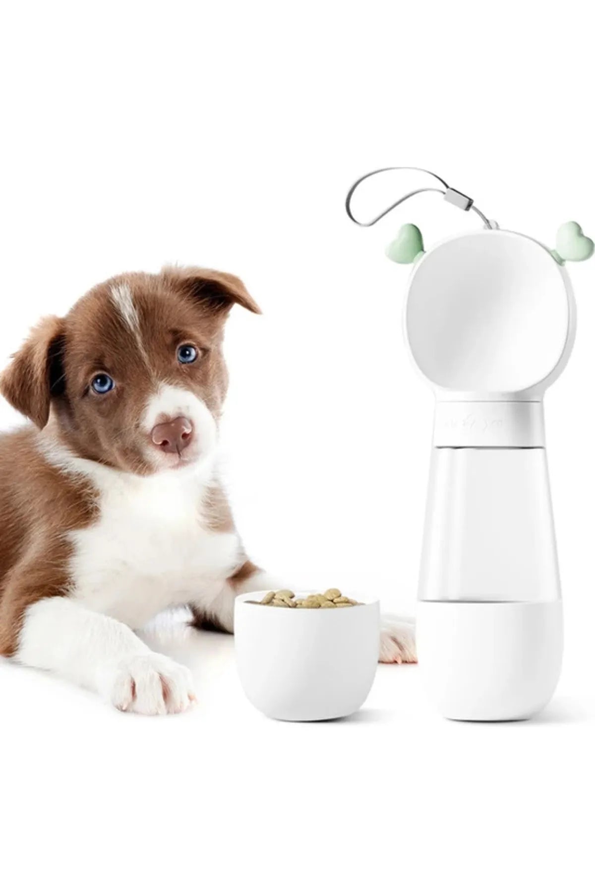 Portable Food and Water Bowl