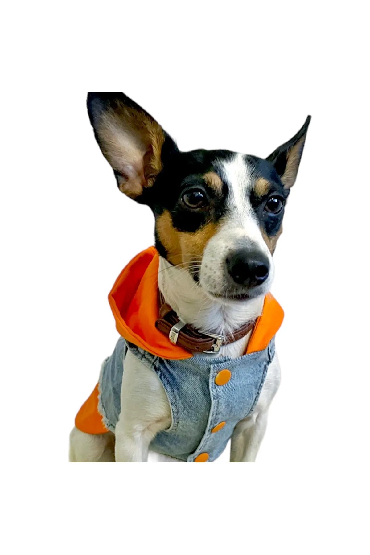 ORANGE HOODED DOG DENIM JACKET