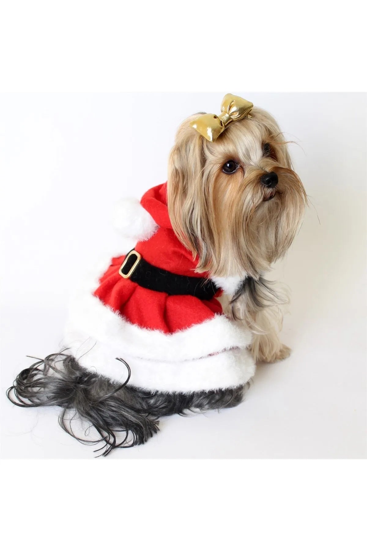Christmas Dog Mom Dress