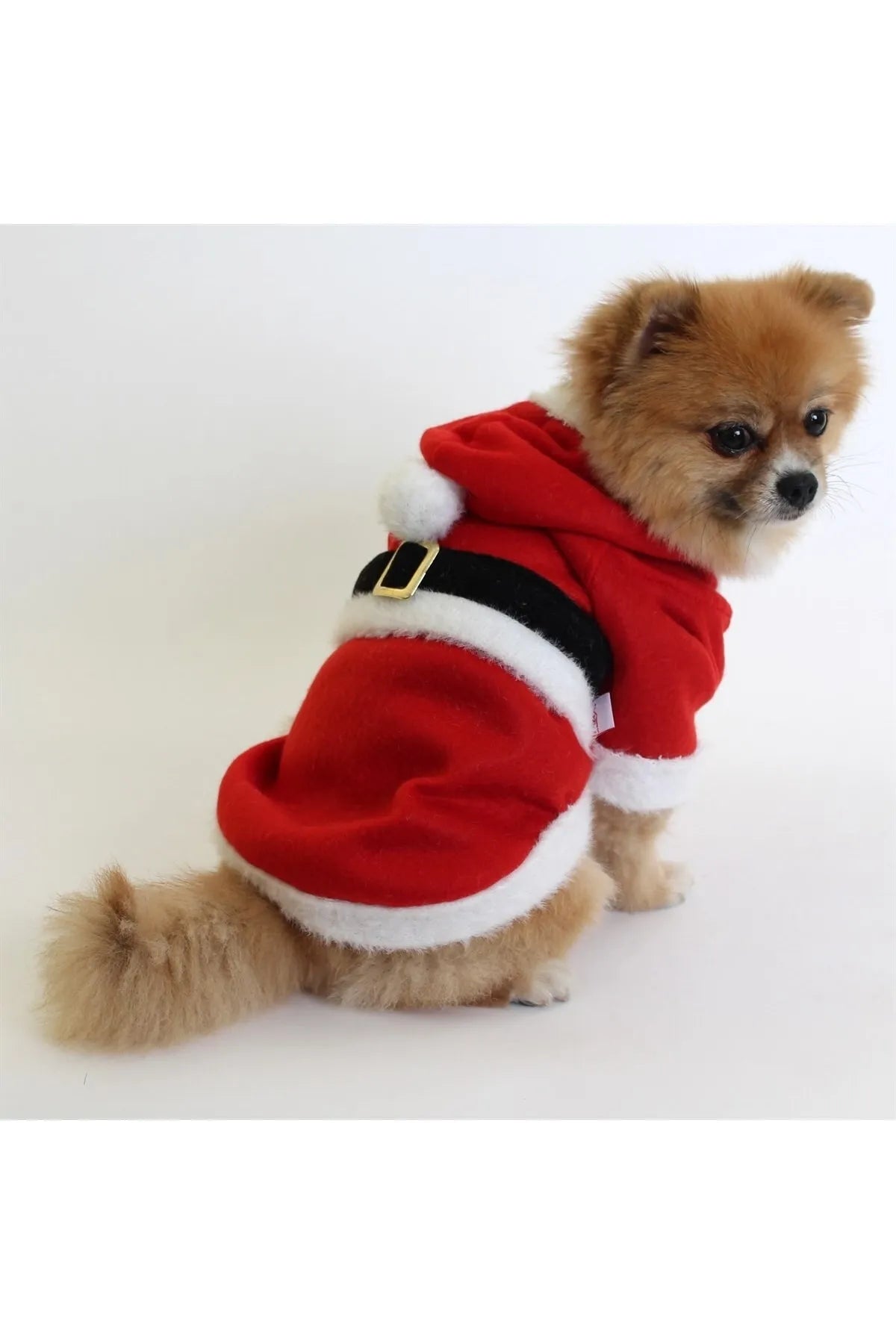 Santa Claus Pet Jacket