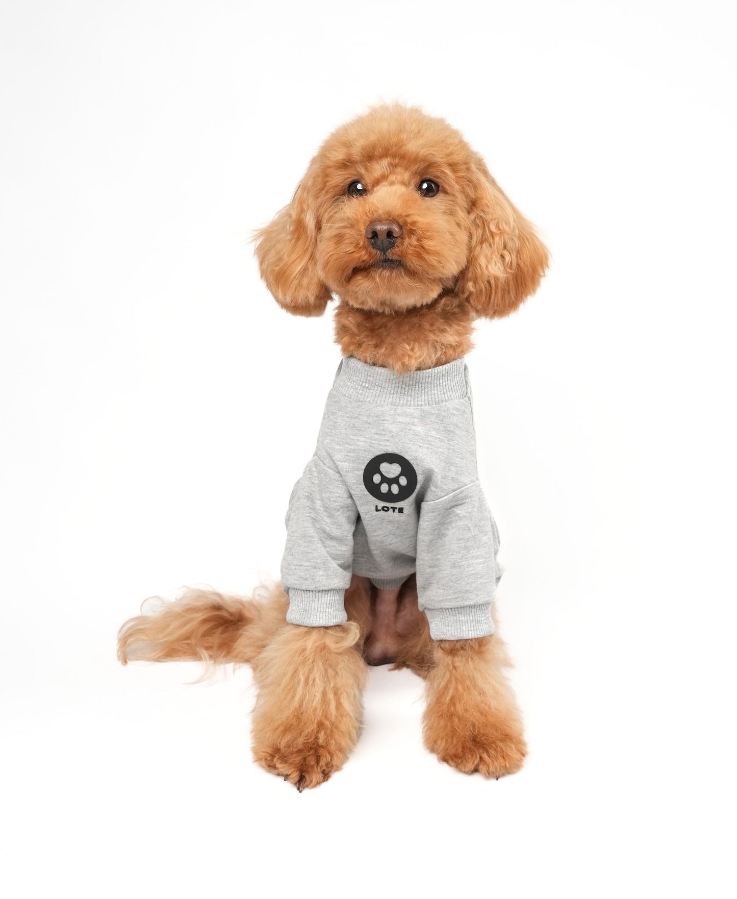 LOTE DOG GRAY SWEATSHIRT