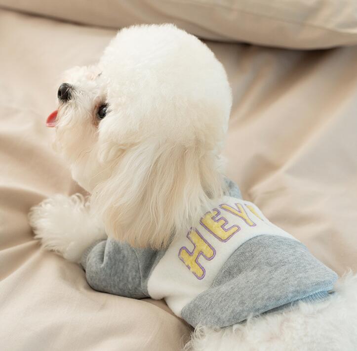 DolcePets /Köpek Hey Sweatshirt /Gri