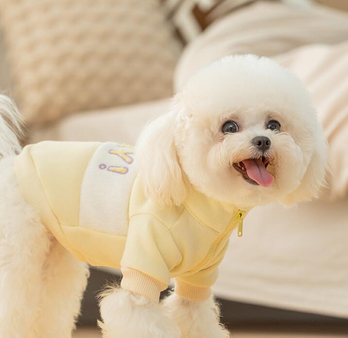 DolcePets /Köpek Hey Sweatshirt / Sarı