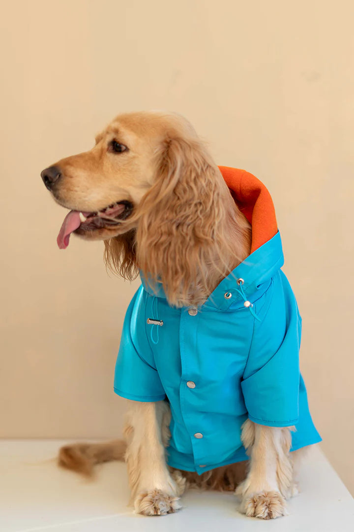Torino Bright Köpek Yağmurluk - Mavi