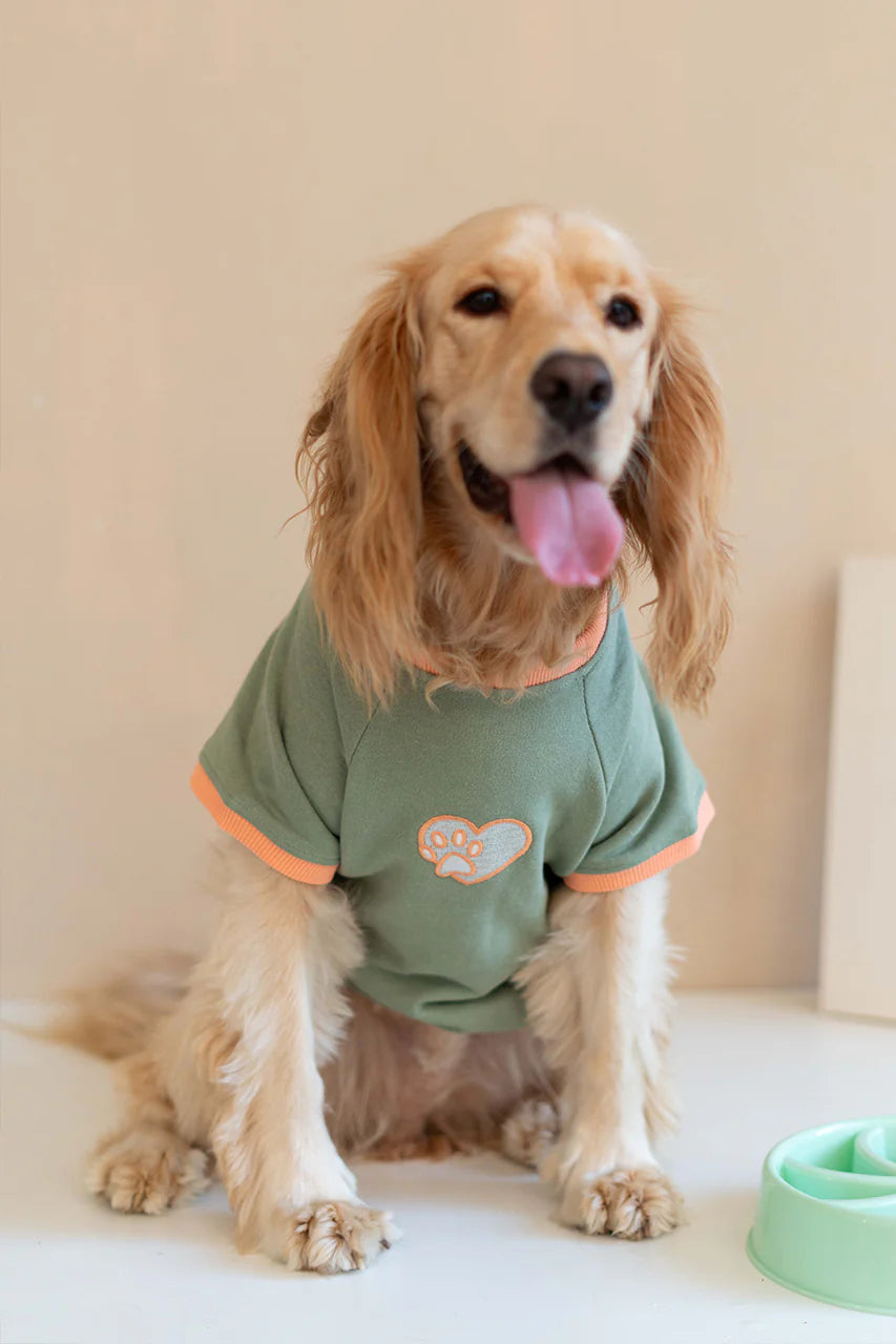 Trieste Dog Sweatshirt - Khaki