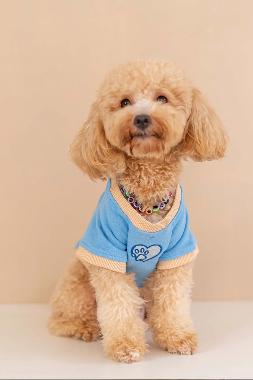 Trieste Dog Sweatshirt - Blue