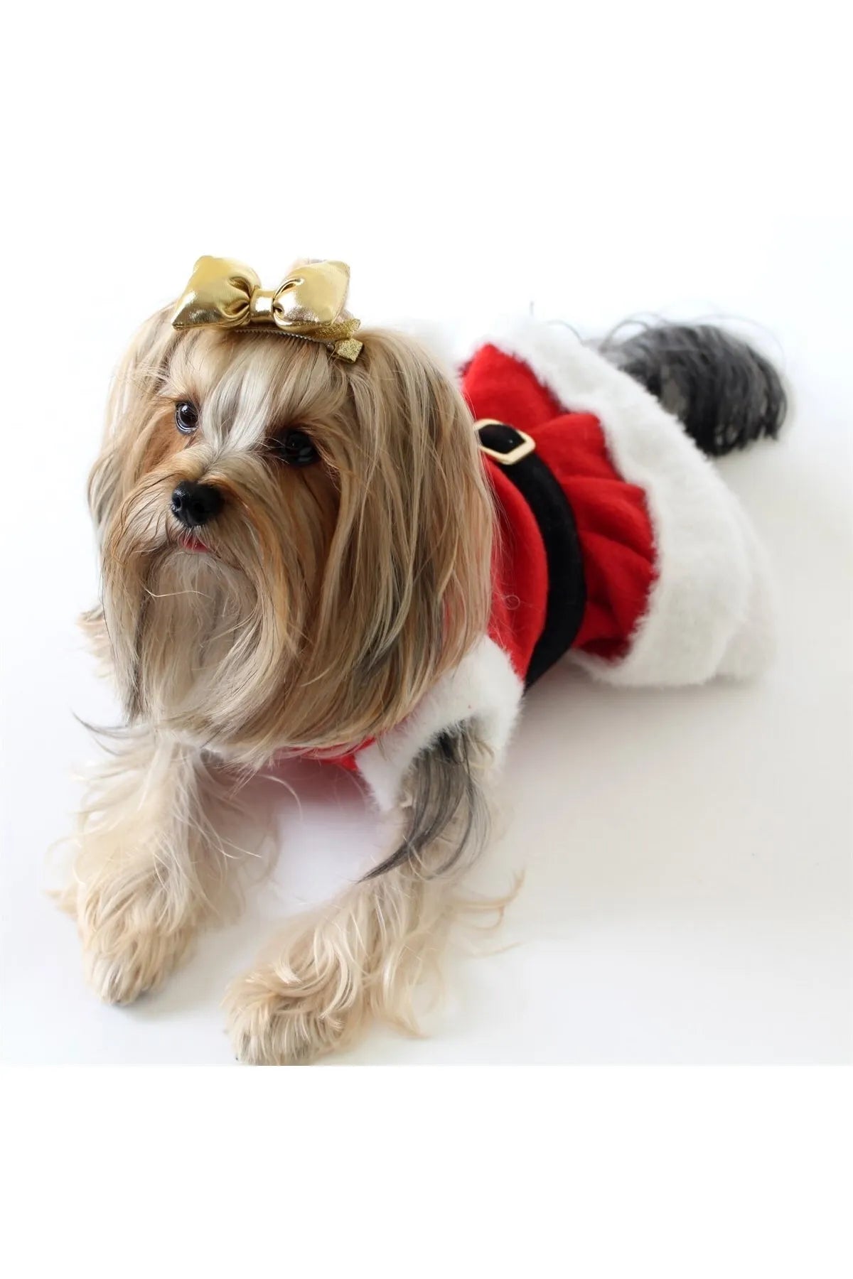 Christmas Dog Mom Dress