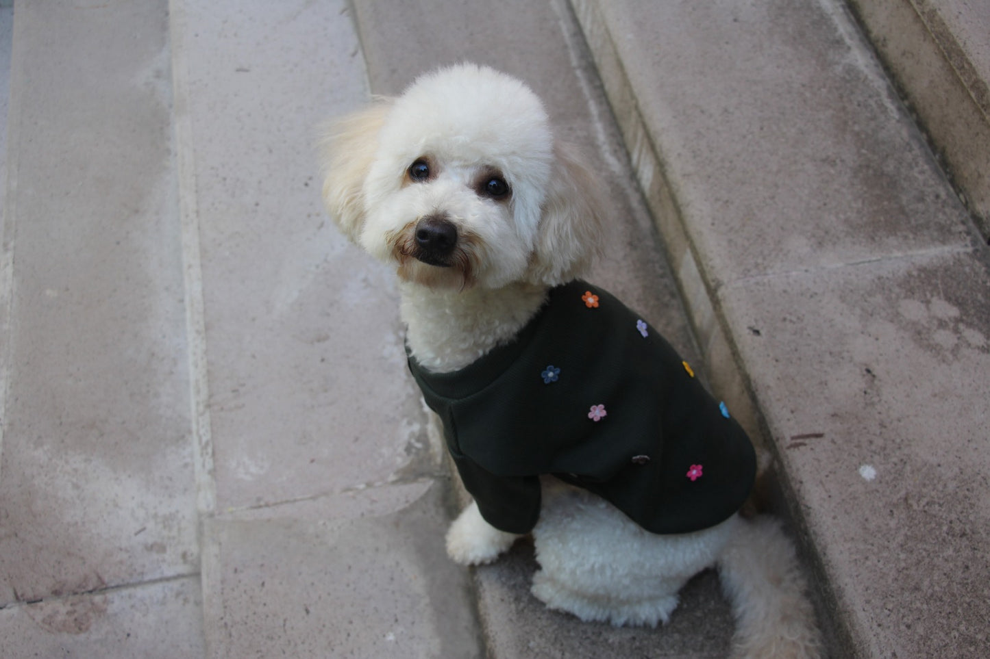 FUREND KHAKI FLORAL DOG T-SHIRT