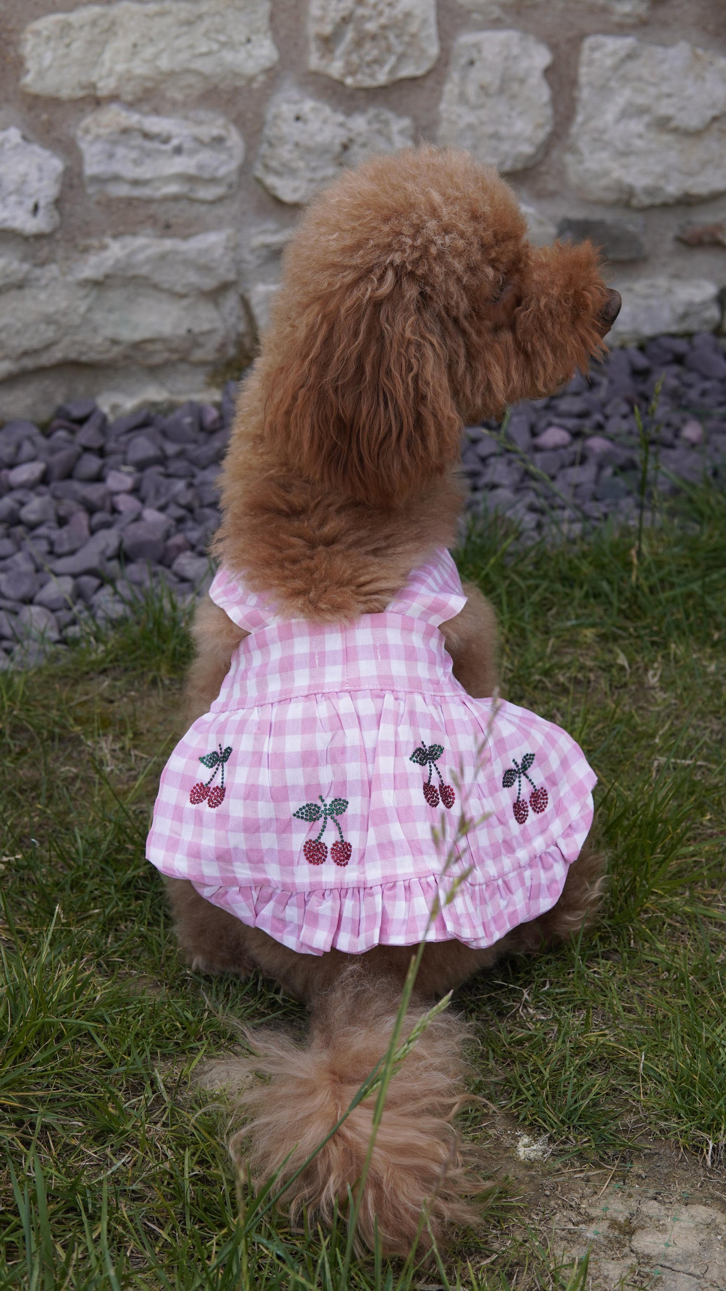 LOTE PEMBE CHERRY KÖPEK ELBİSE
