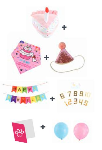 M-PETS PARTY TIME DİŞİ KÖPEKLER İÇİN DOĞUM GÜNÜ SETİ