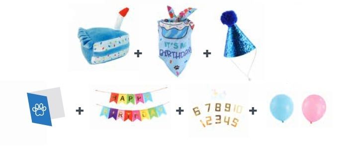 M-PETS PARTY TIME BIRTHDAY SET FOR MALE DOGS