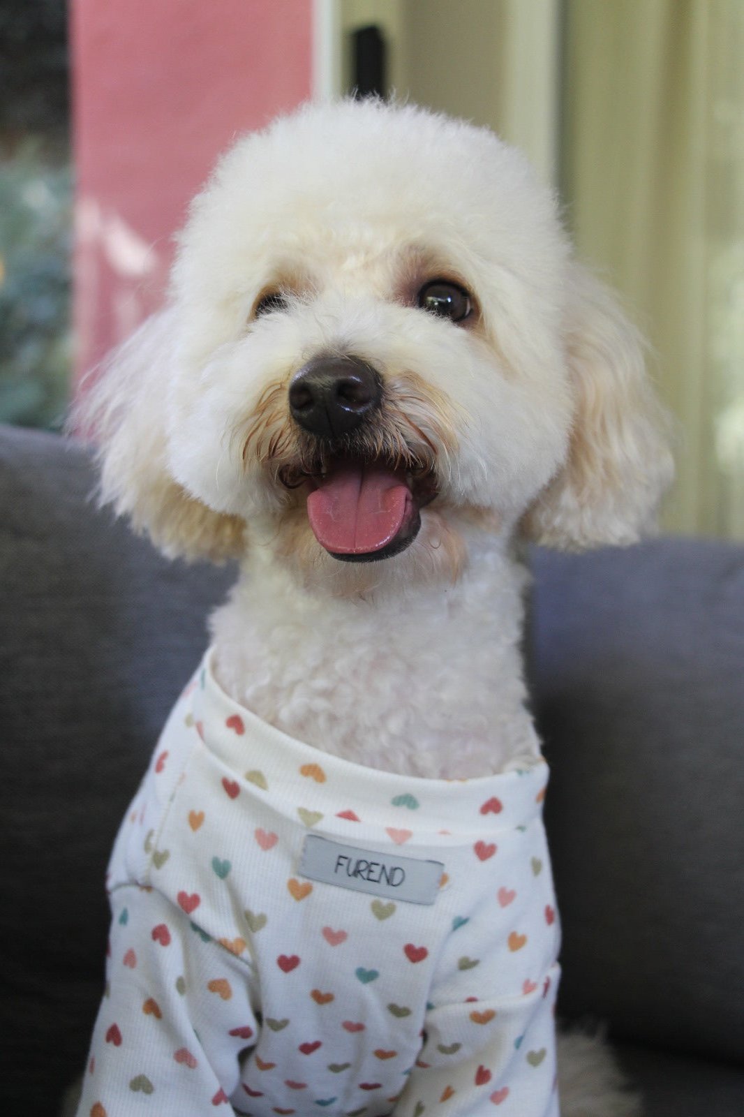FUREND WHITE HEART DOG T-SHIRT