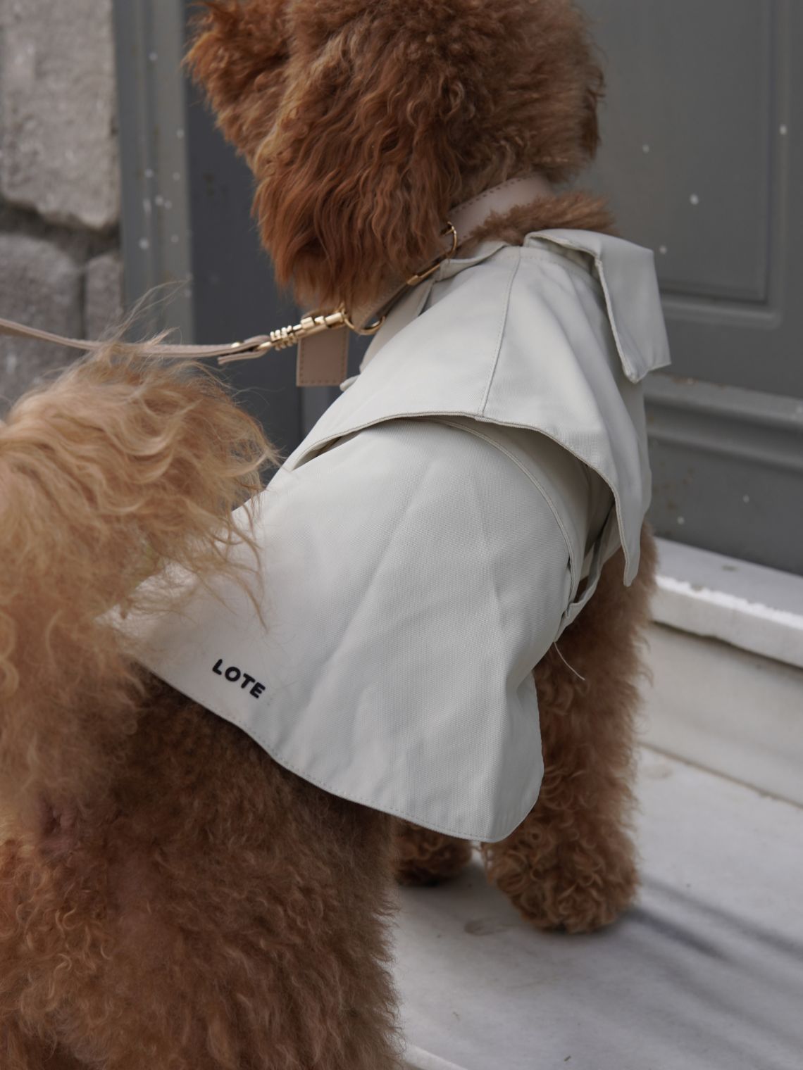 LOTE NİNO COAT KÖPEK YAĞMURLUK