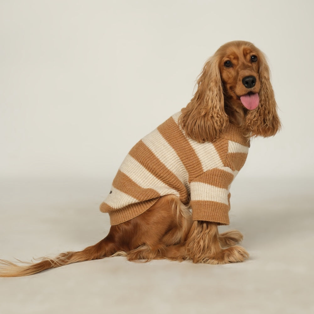 Dalton Brown Ecru Striped Dog Sweater