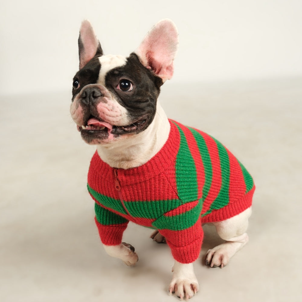 Dalton Green Red Striped Dog Sweater