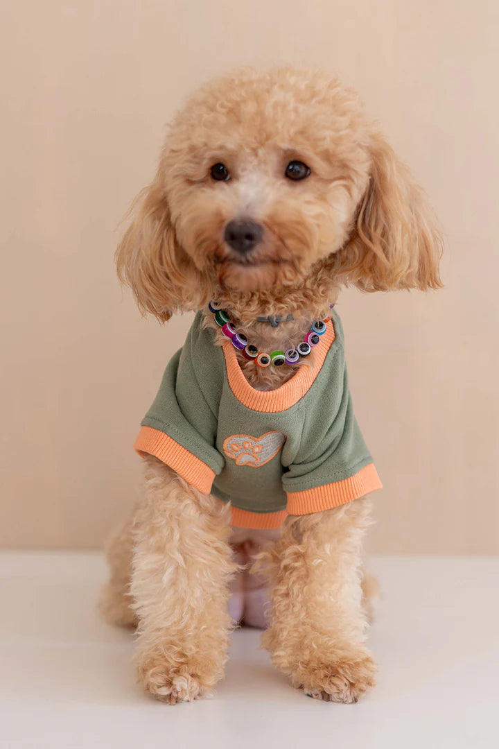 Trieste Dog Sweatshirt - Khaki