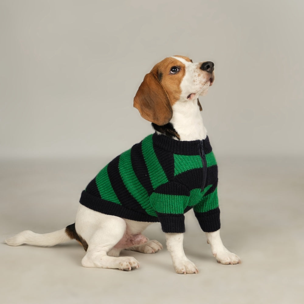 Dalton Navy Green Striped Dog Sweater