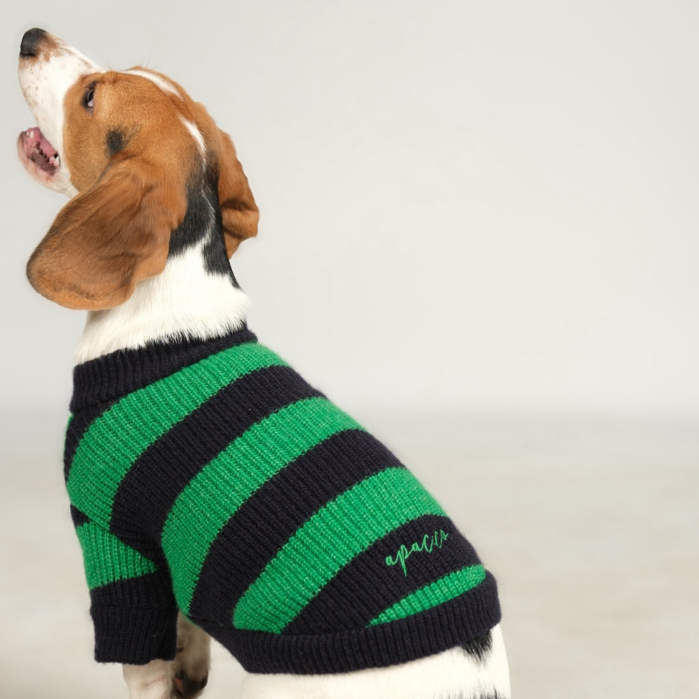 Dalton Navy Green Striped Dog Sweater