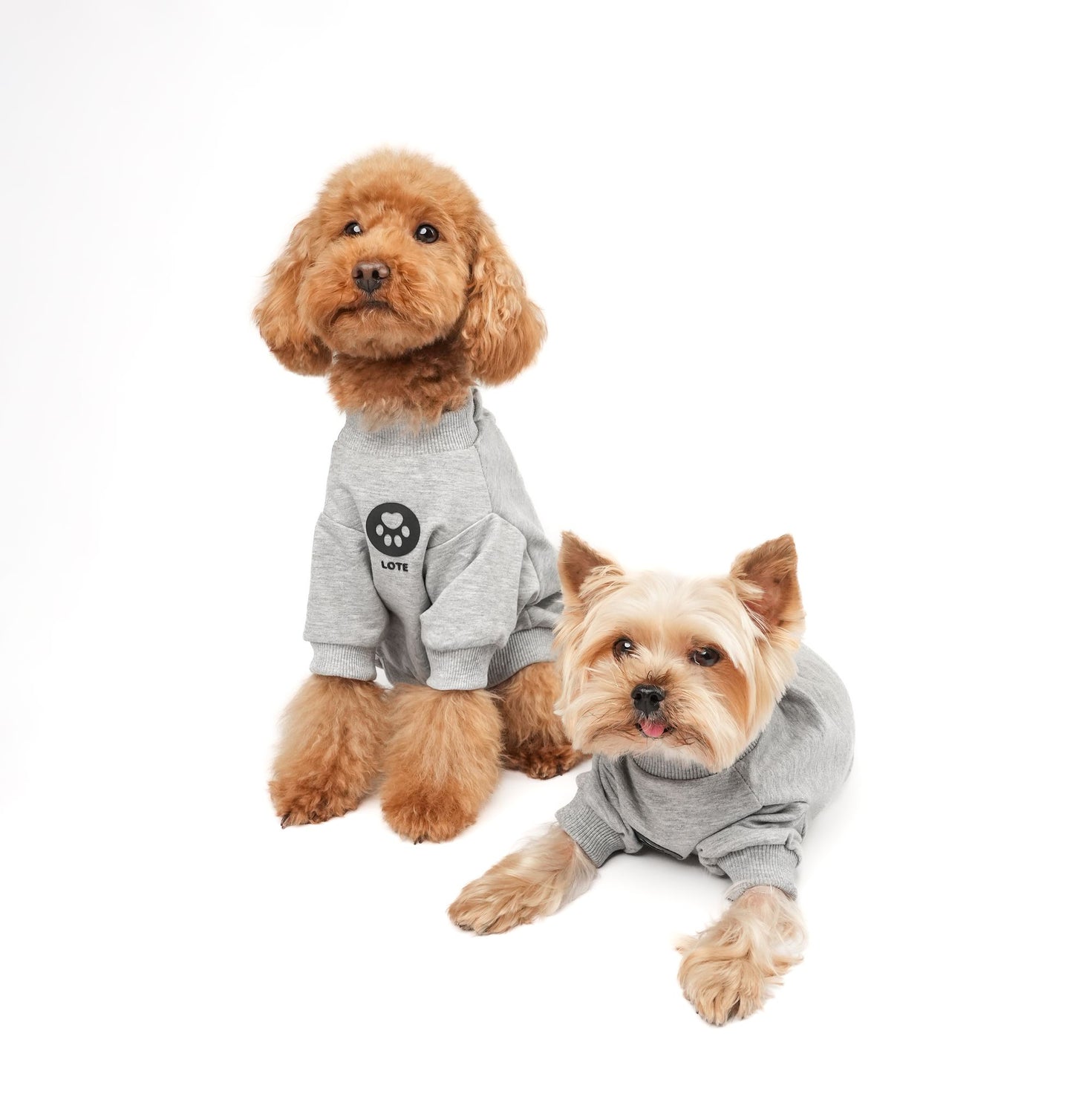 LOTE DOG GRAY SWEATSHIRT