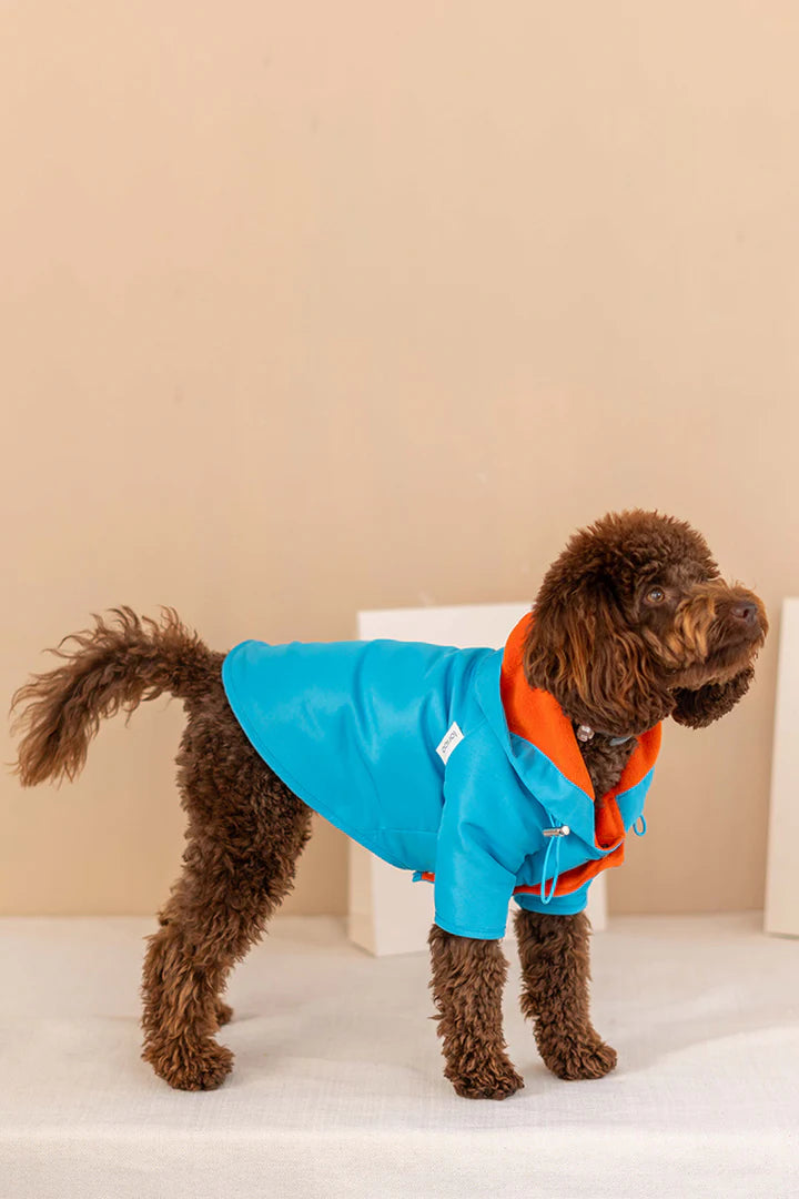 Torino Bright Köpek Yağmurluk - Mavi