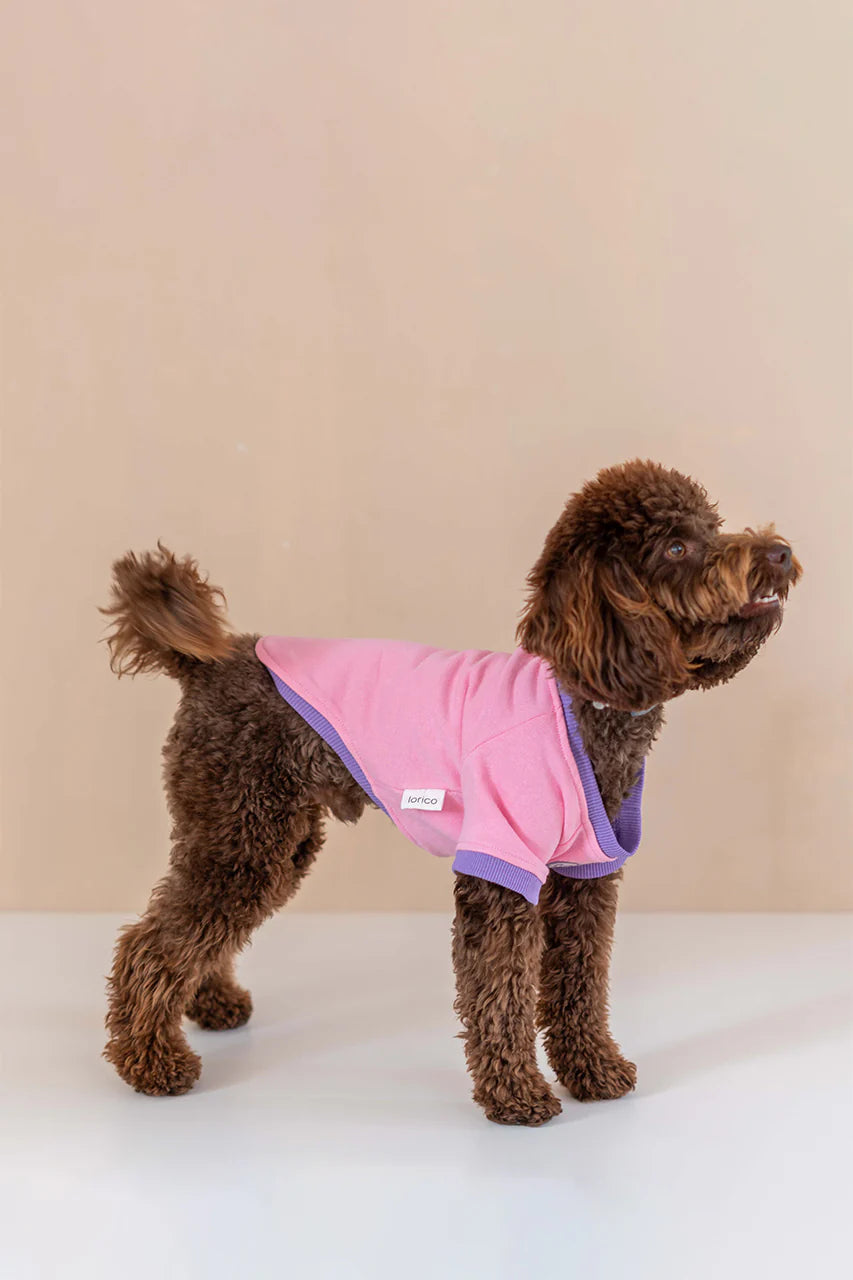 Trieste Dog Sweatshirt - Pink