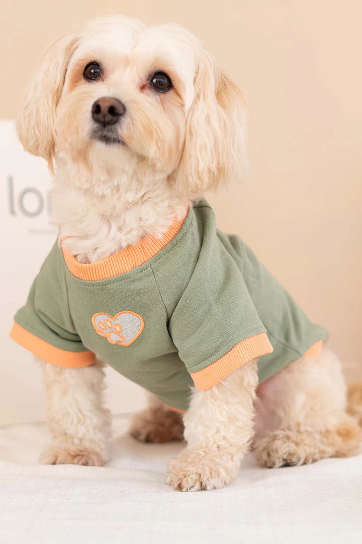Trieste Dog Sweatshirt - Khaki