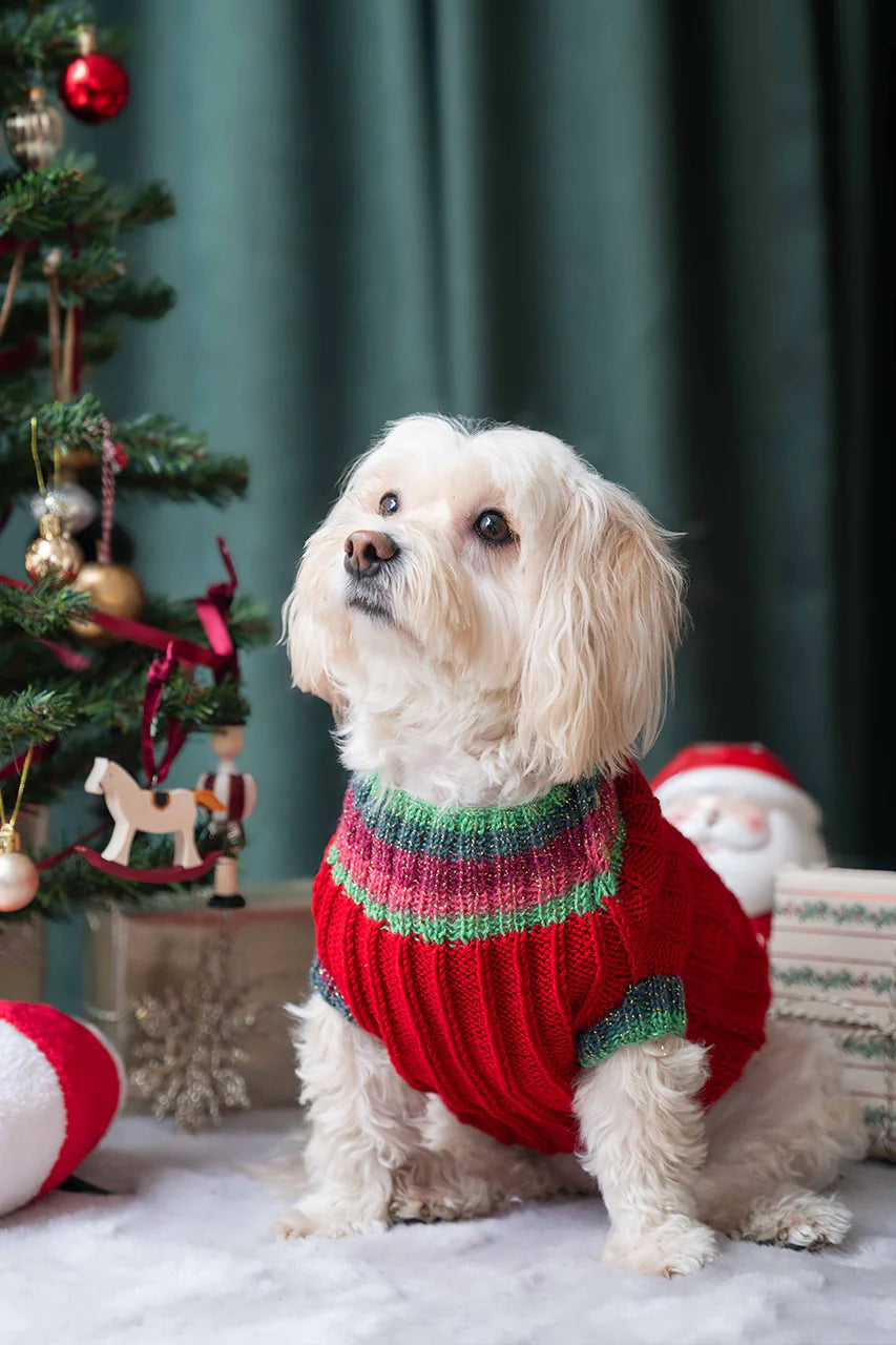 LORICO KLAUS DOG SWEATER