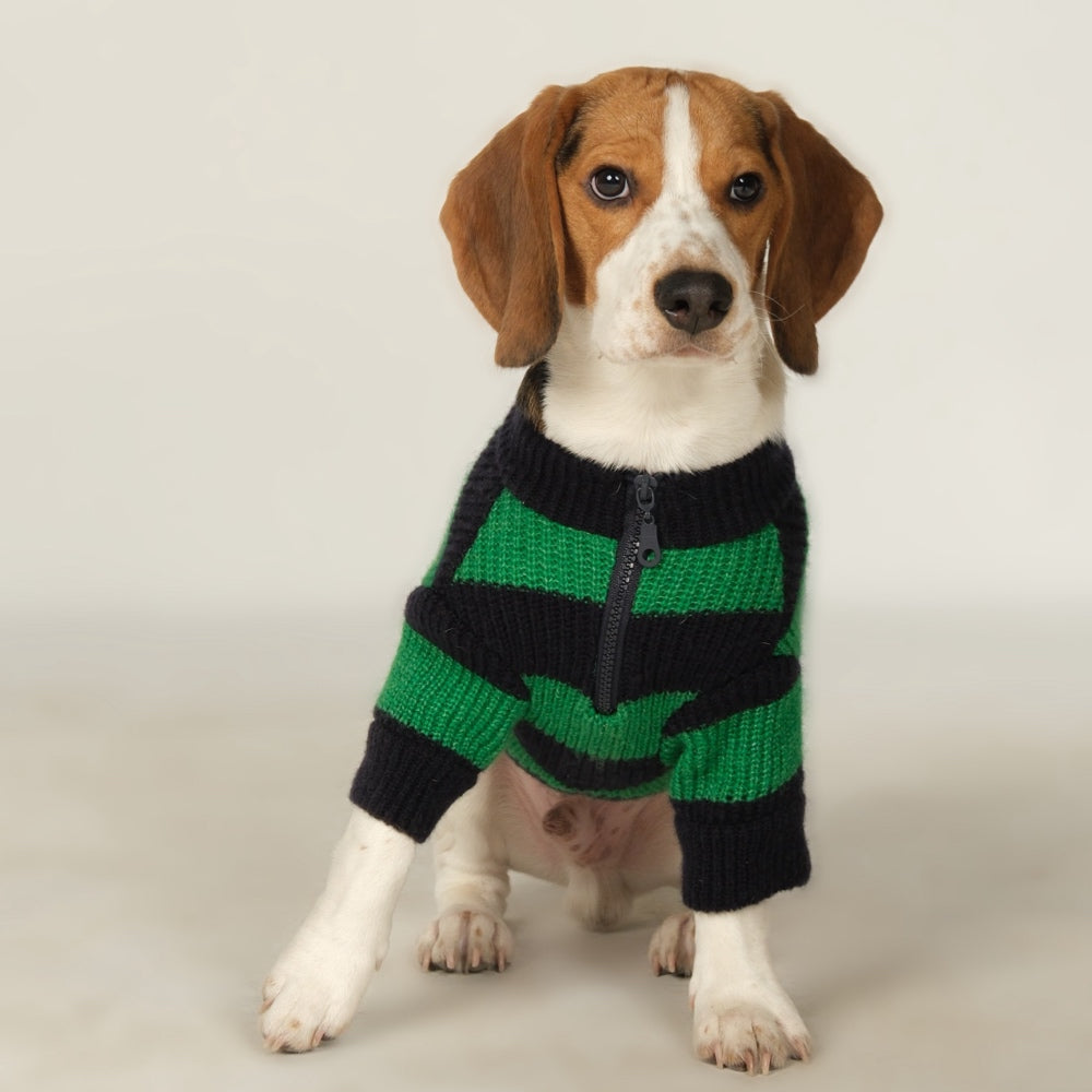 Dalton Navy Green Striped Dog Sweater