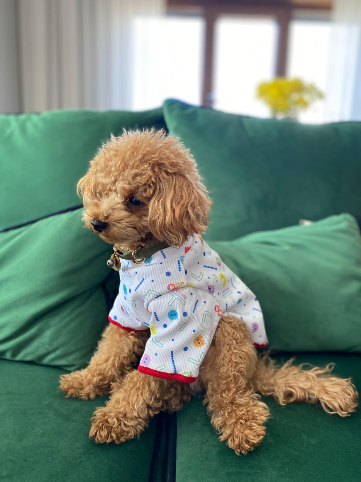 MY PETIT PAW PACMAN DOG T-SHIRT