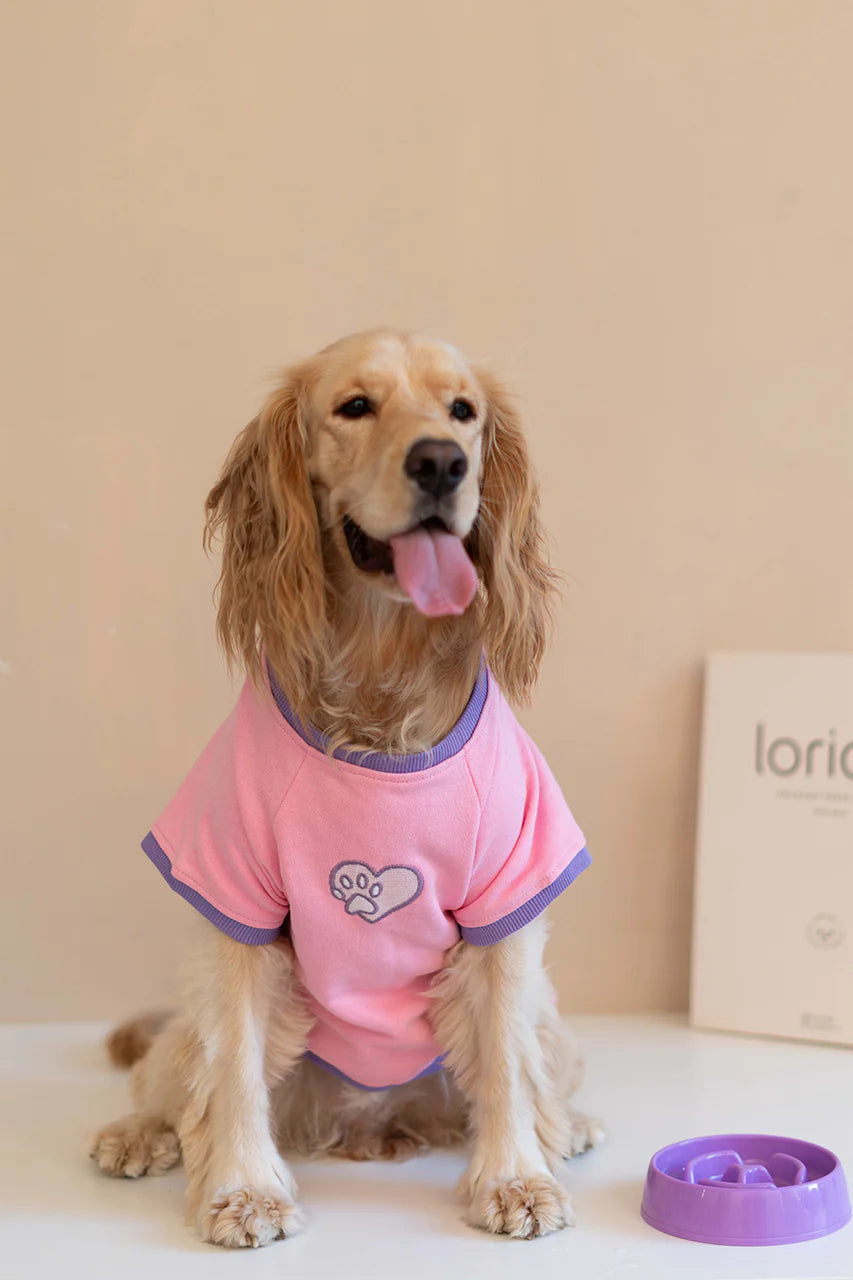 Trieste Dog Sweatshirt - Pink
