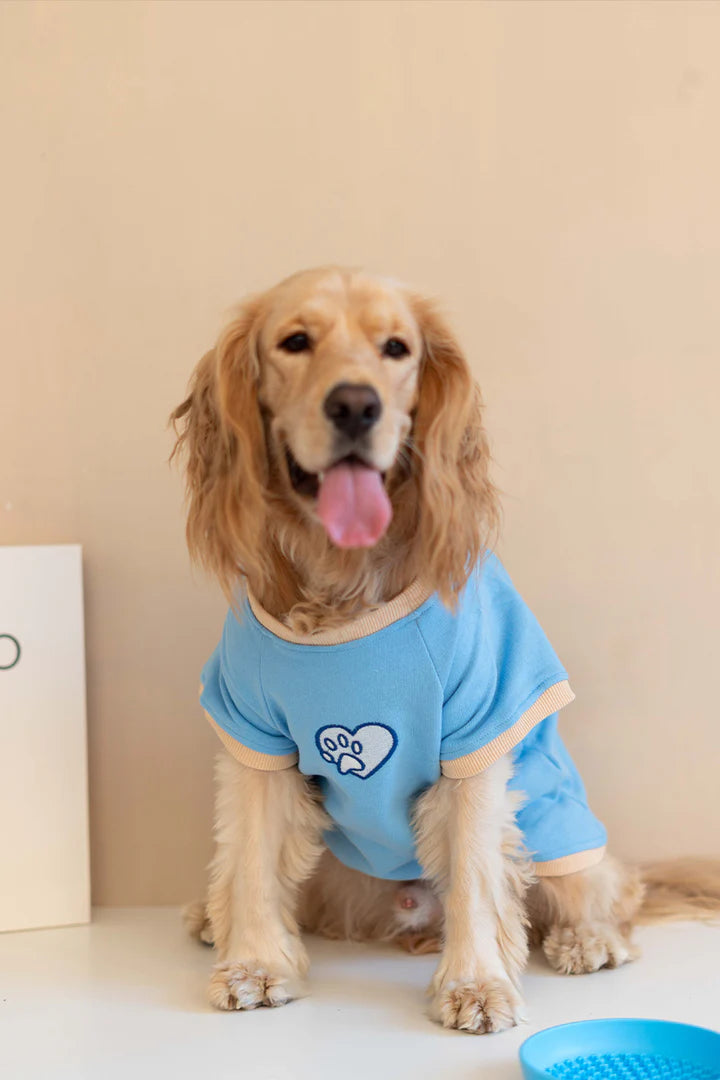 Trieste Dog Sweatshirt - Blue