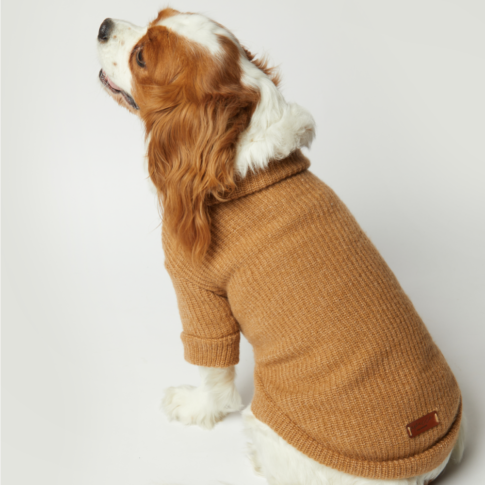 Basic Beige Knit Dog Sweater