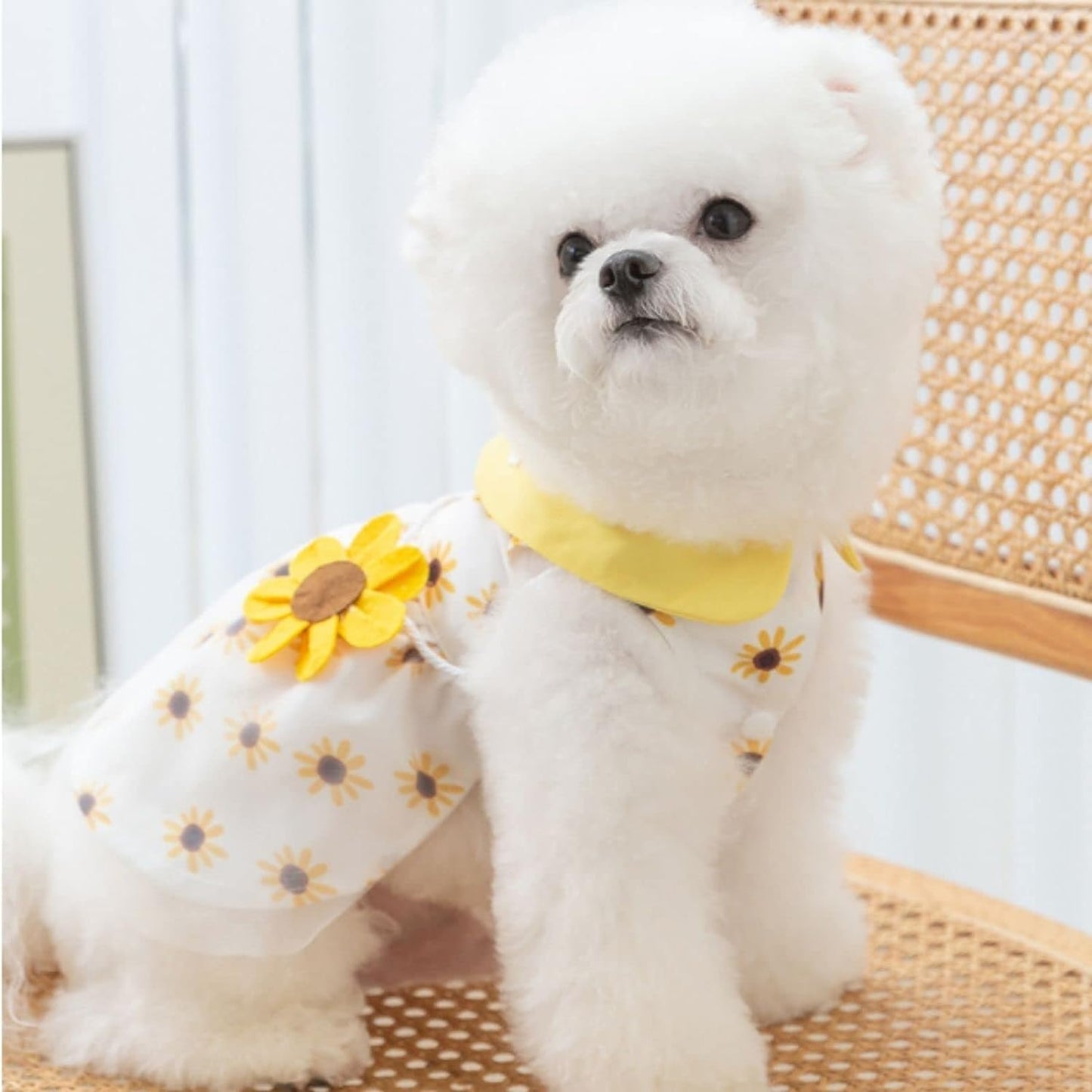 SunFlower Dog Dress