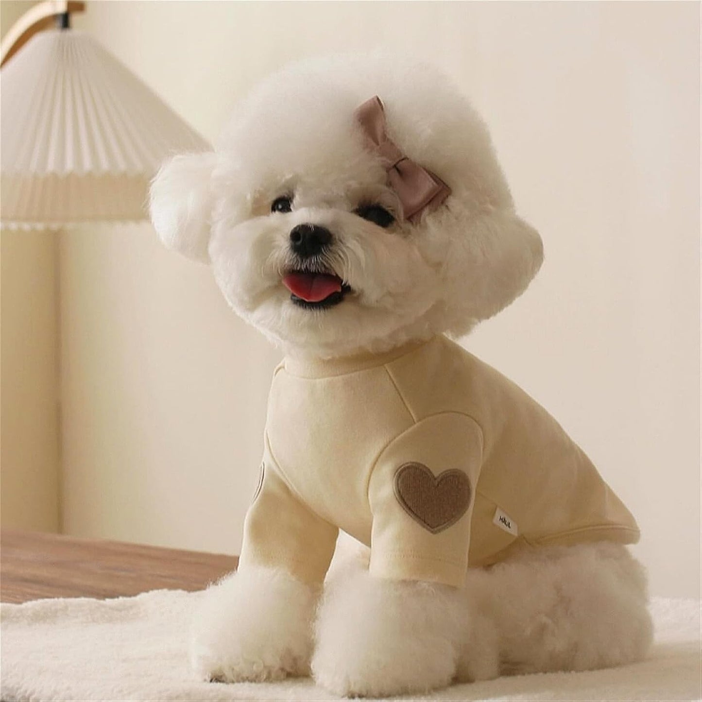 DolcePets Cream Sweater with Dog Hearts