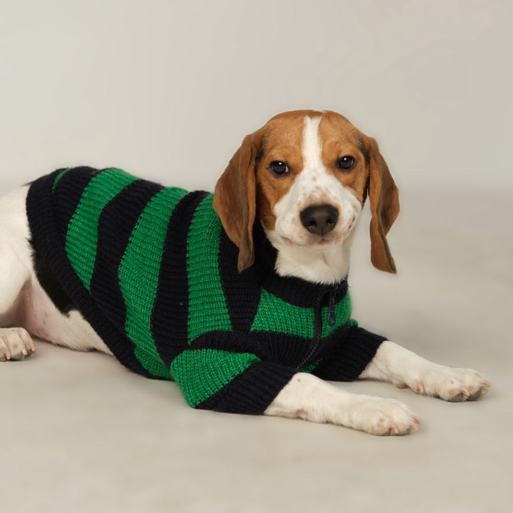 Dalton Navy Green Striped Dog Sweater