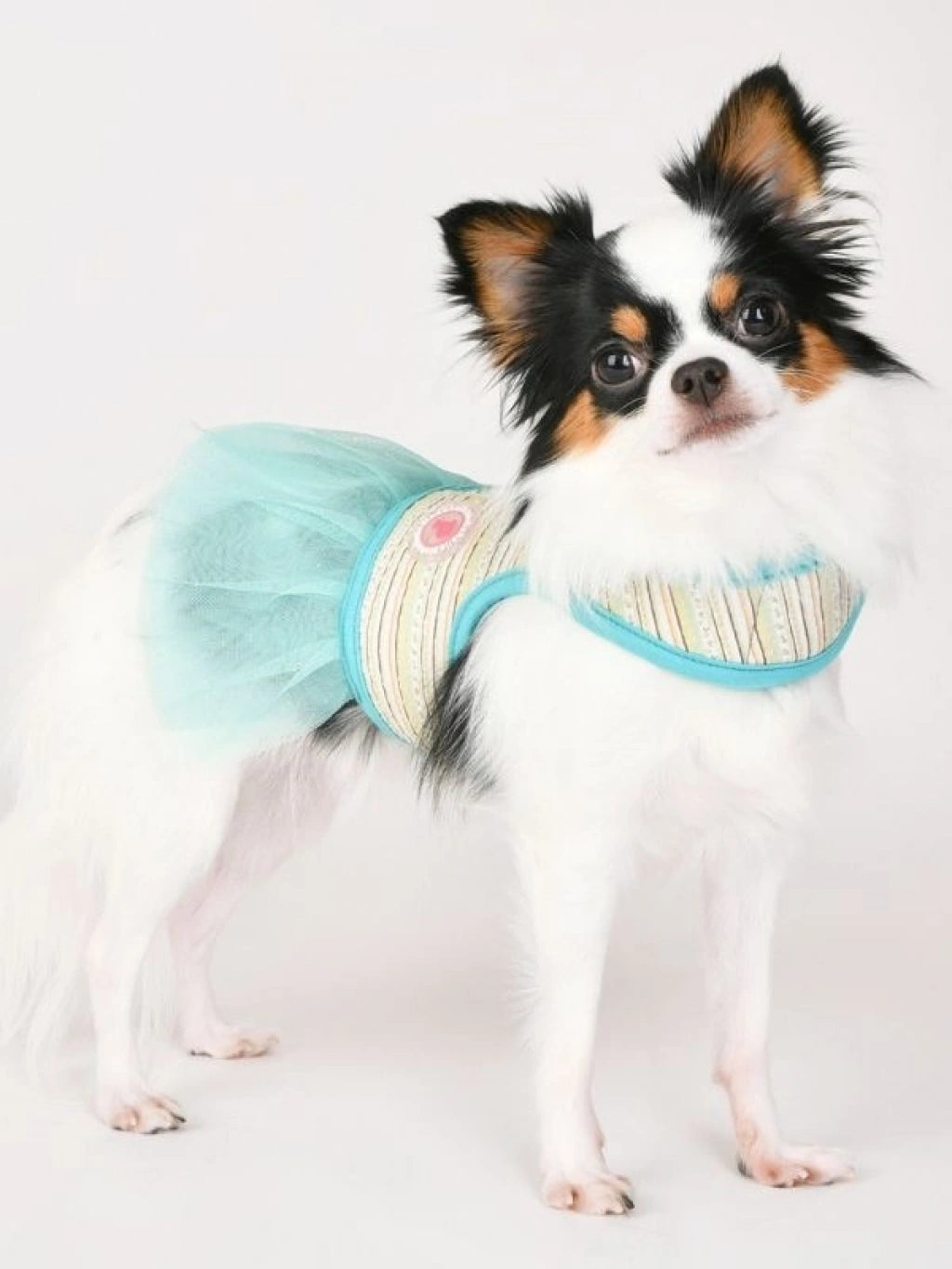 Joie Flirt Harness